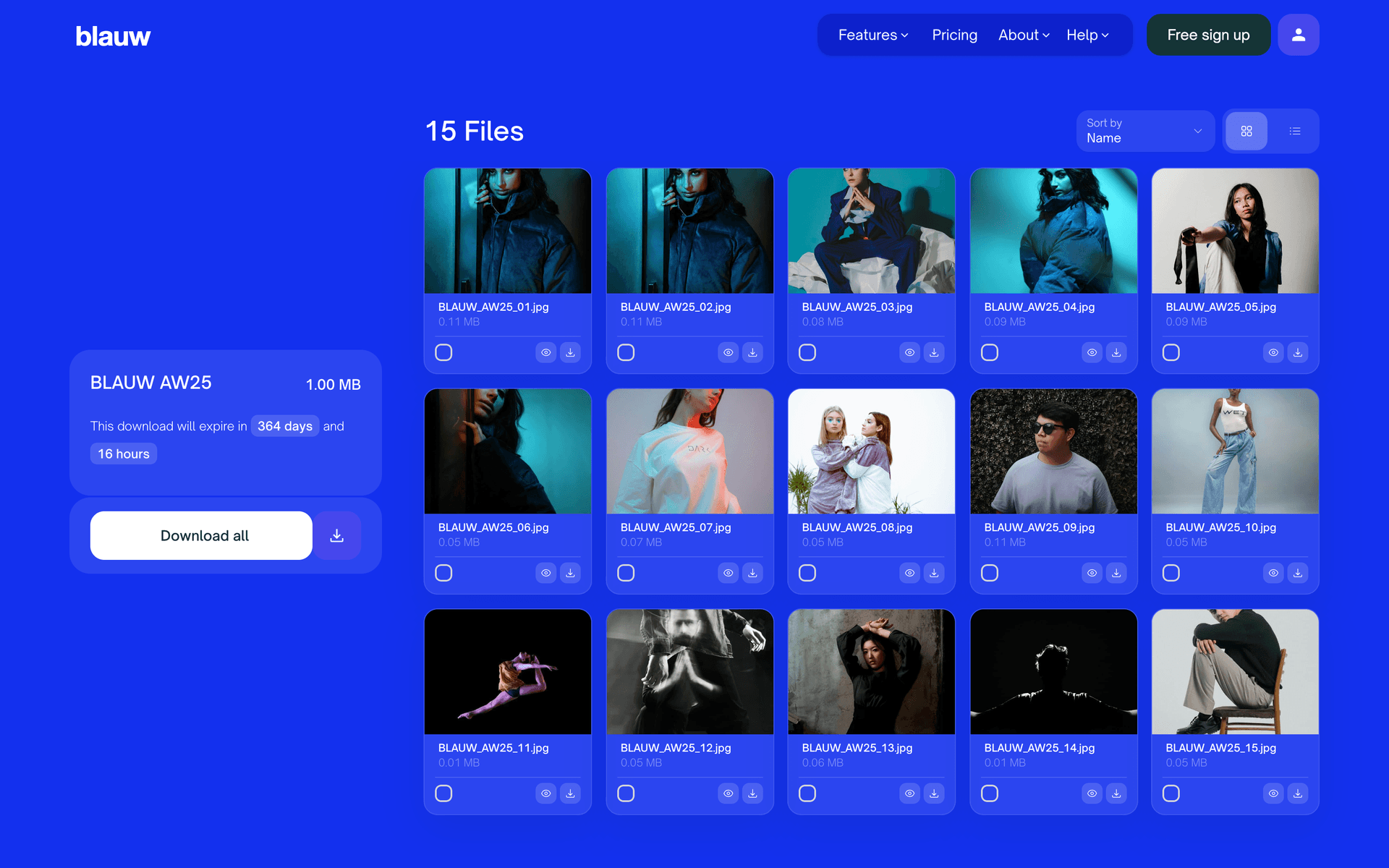 A Classic download page styled entirely in a brand's electric blue