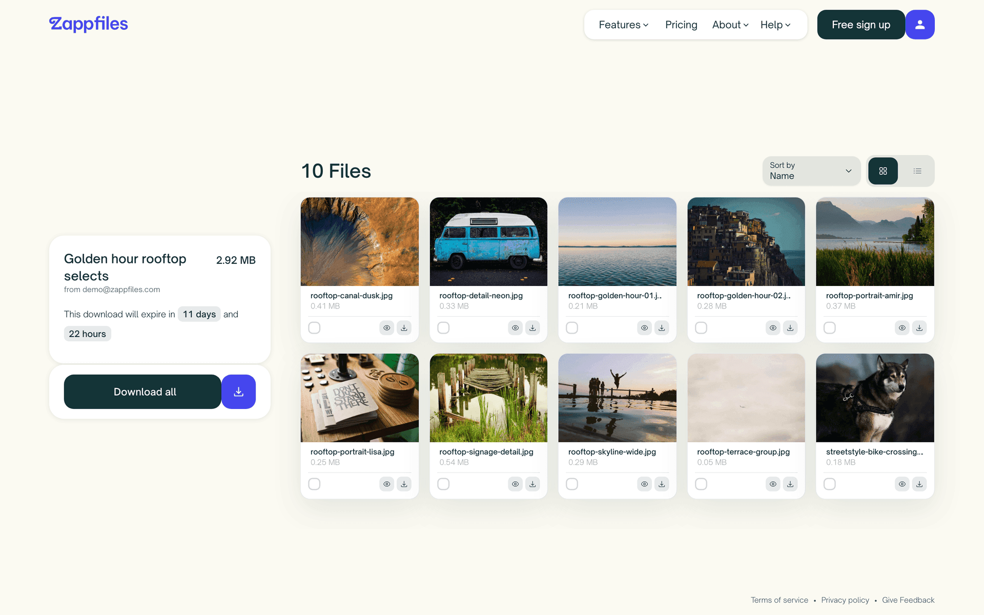 A ZappFiles download page titled Golden hour rooftop selects with ten photo previews and a Download all button